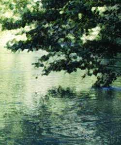 Un dettaglio pittorico del fiume Nera